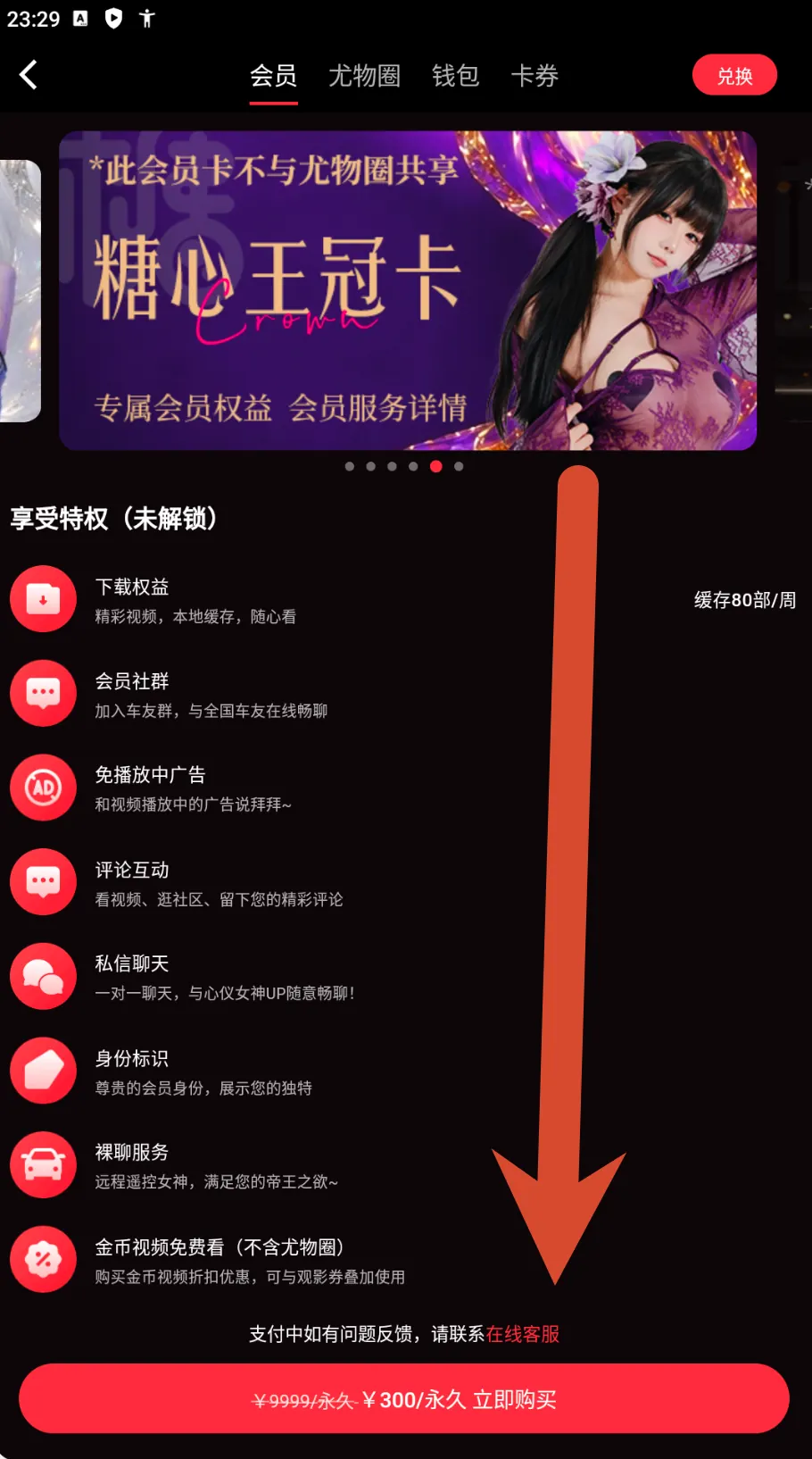 糖心Vlog皇冠会员卡价格截图